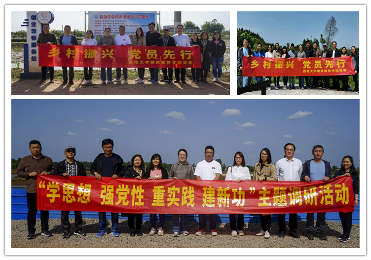 图片5_副本.png