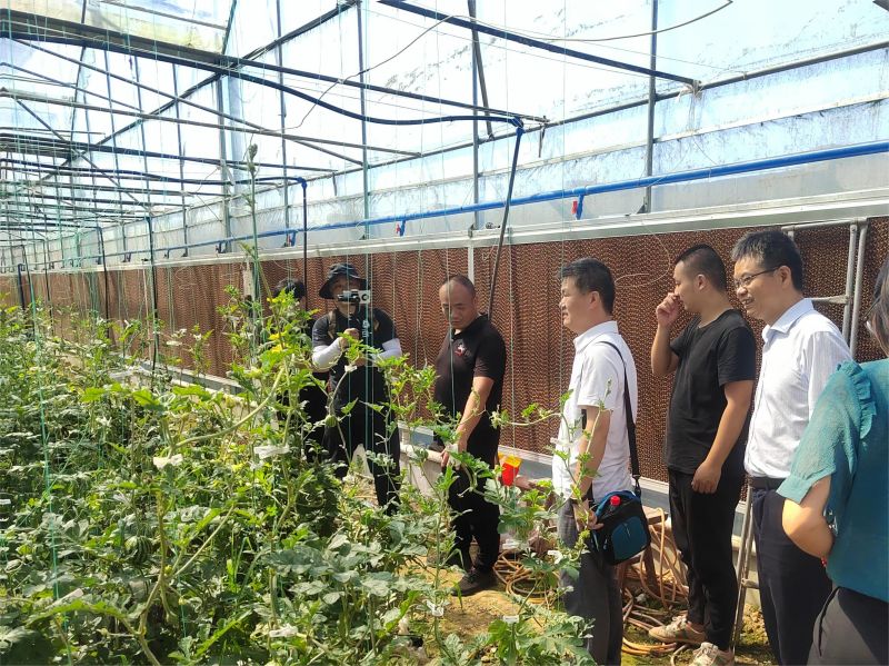 “头雁”学员介绍基地情况.jpg