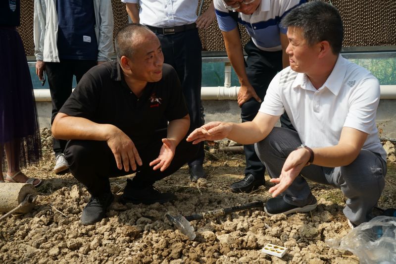 王帅现场指导帮扶1.jpg