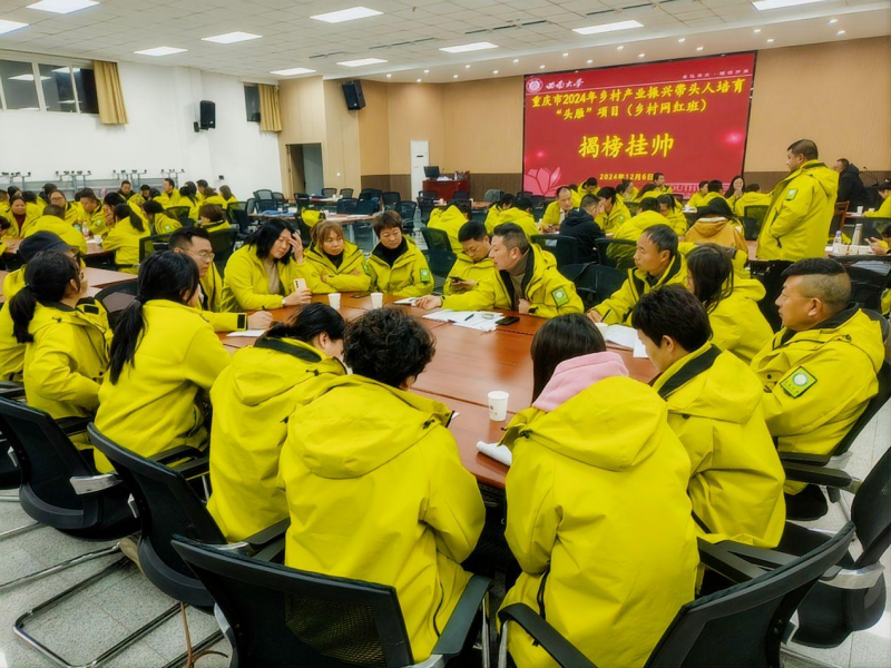 图片 7.png