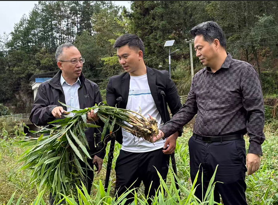 图片23.png